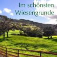 Im schönsten Wiesengrunde