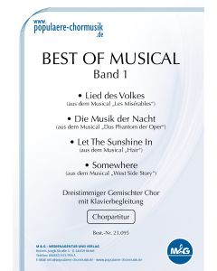 *Best Of Musical (Band 1)*